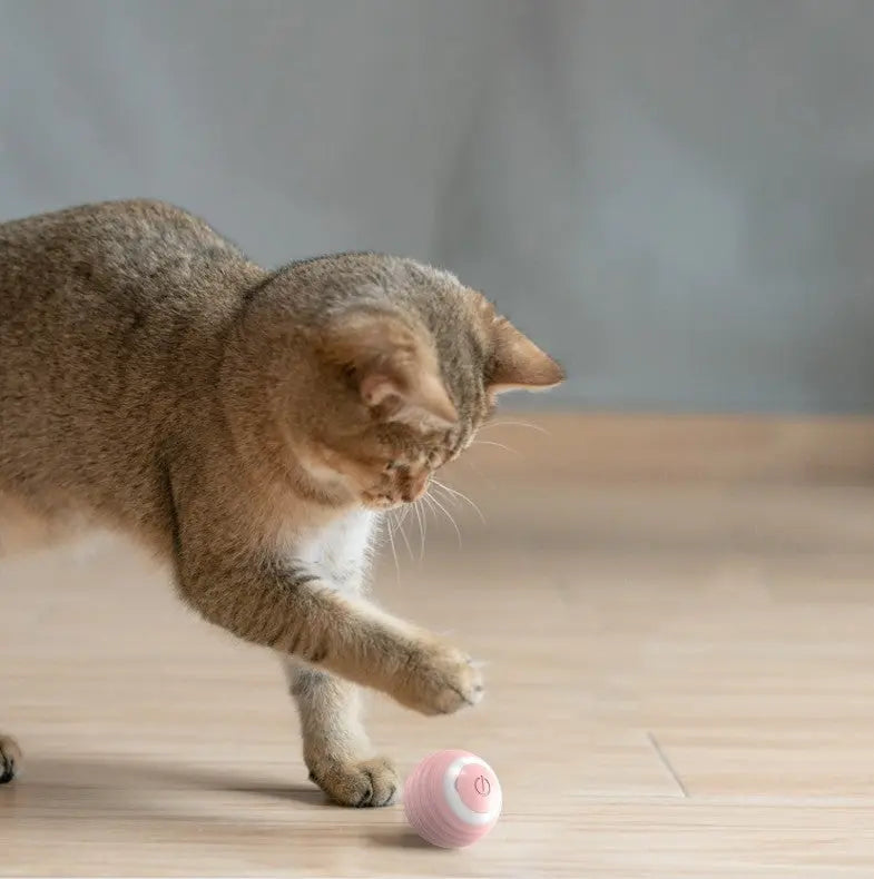 Smart Cat Toy Ball