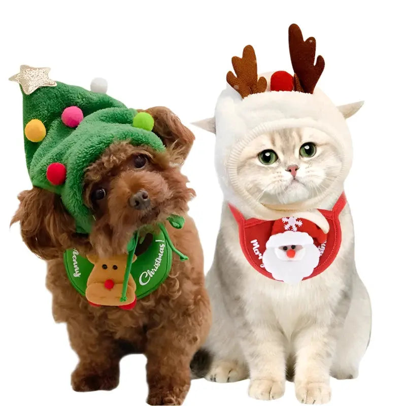 Pets dressed for Christmas