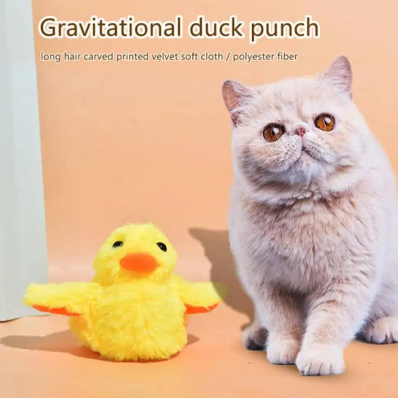 Cat toy