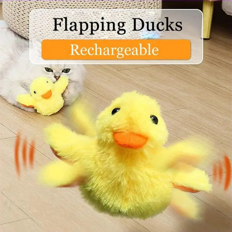 Cat toy