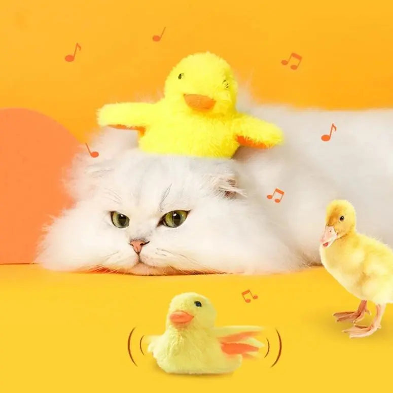 Cat toy