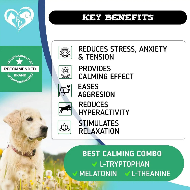Hemp Calming Chews for Dogs Puppy Pet Separation Anxiety Relief Treats for Dog Whatever Retail