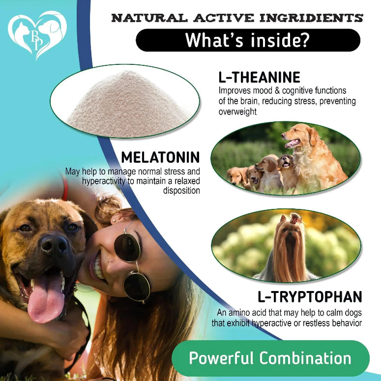 Hemp Calming Chews for Dogs Whatever Retail