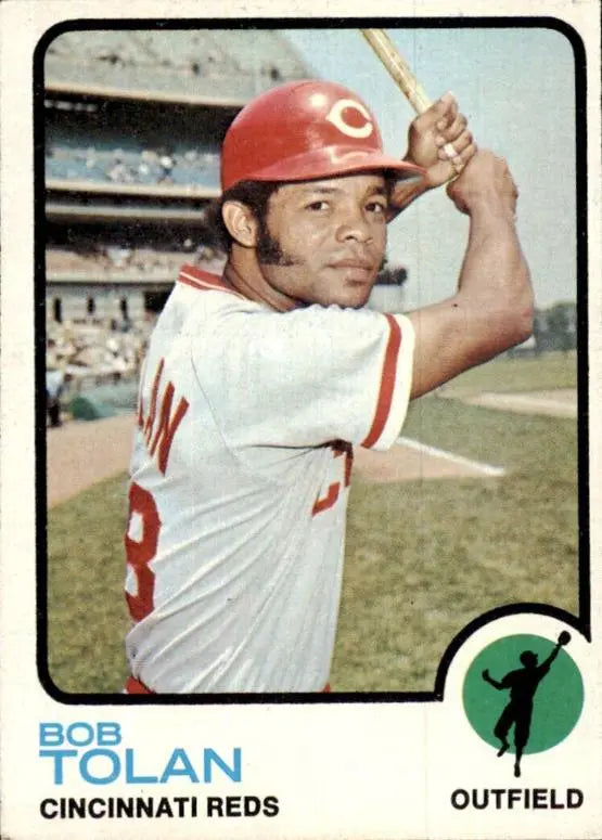 1973 Baseball Card