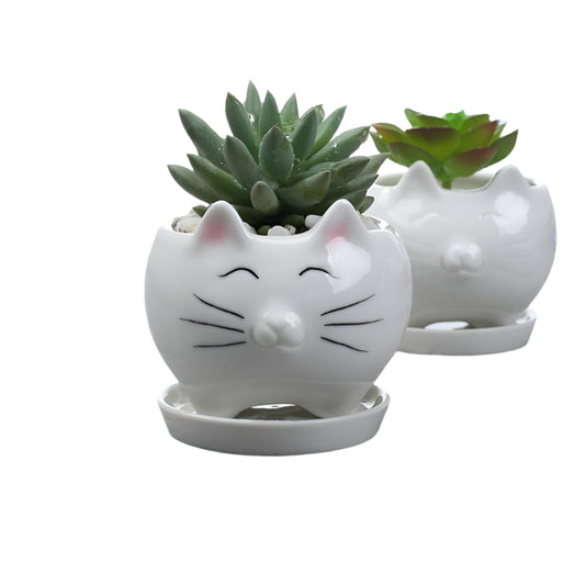 Adorable Mini Kitten Ceramic Flowerpot