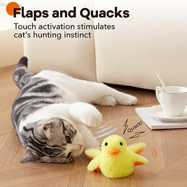 Cat toy