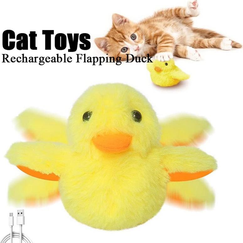 Cat toy