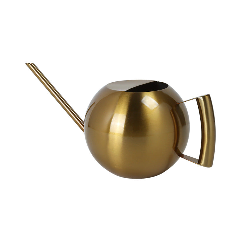 Elegant Spherical Watering Can