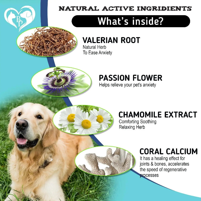 Hemp Calming Chews for Dogs Whatever Retail